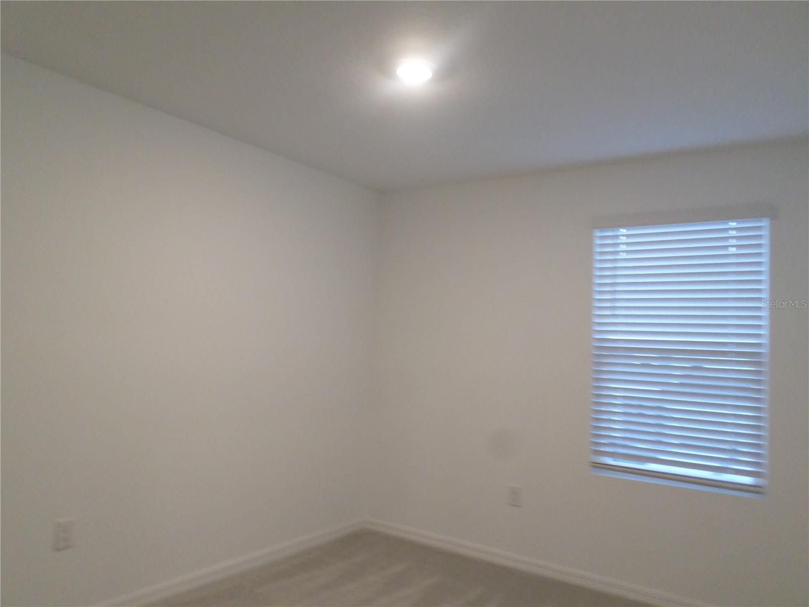 2118 HALLIER CV, WESLEY CHAPEL, FL, 33543