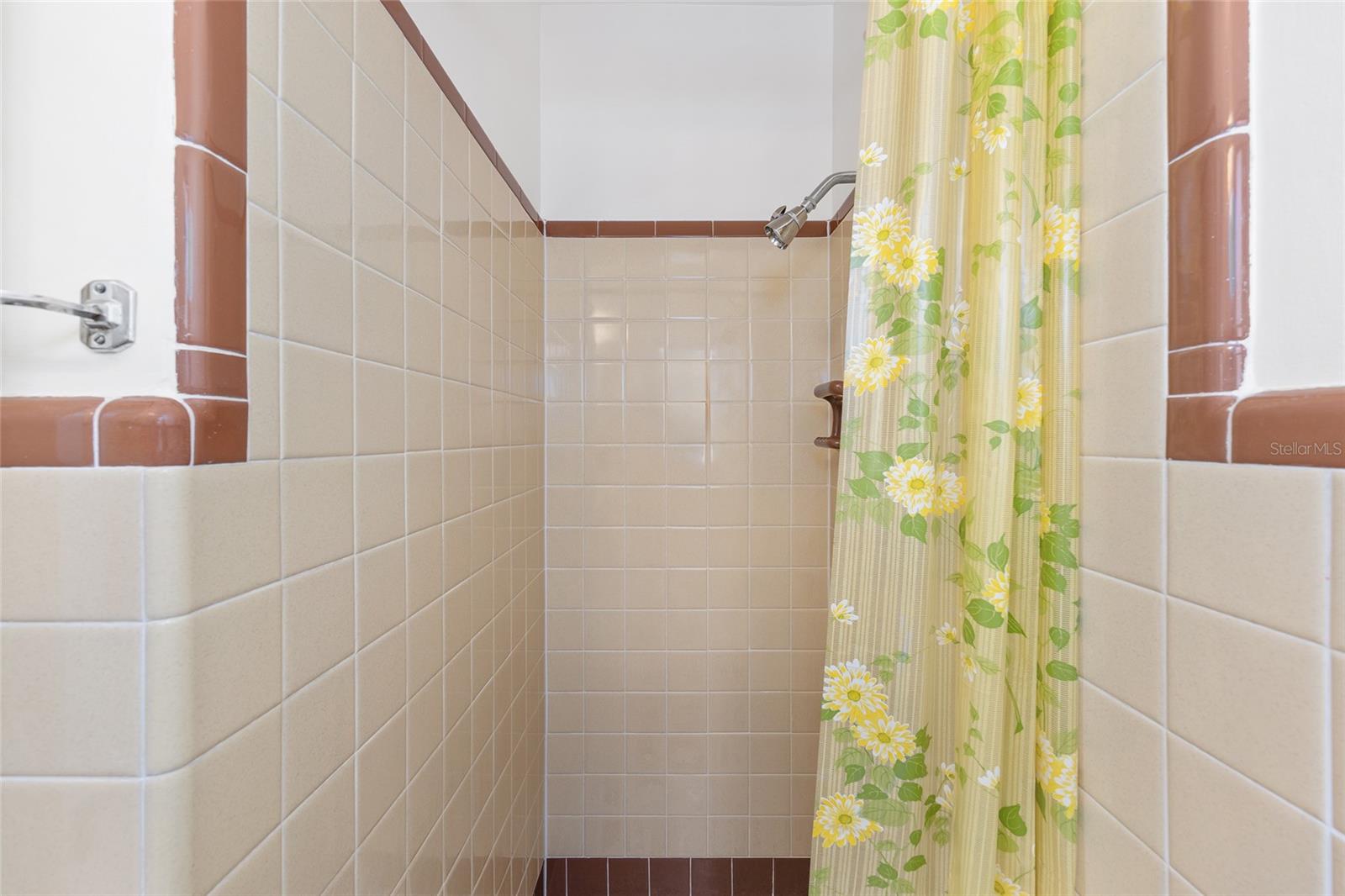 904 HASELTON ST, EUSTIS, FL, 32726