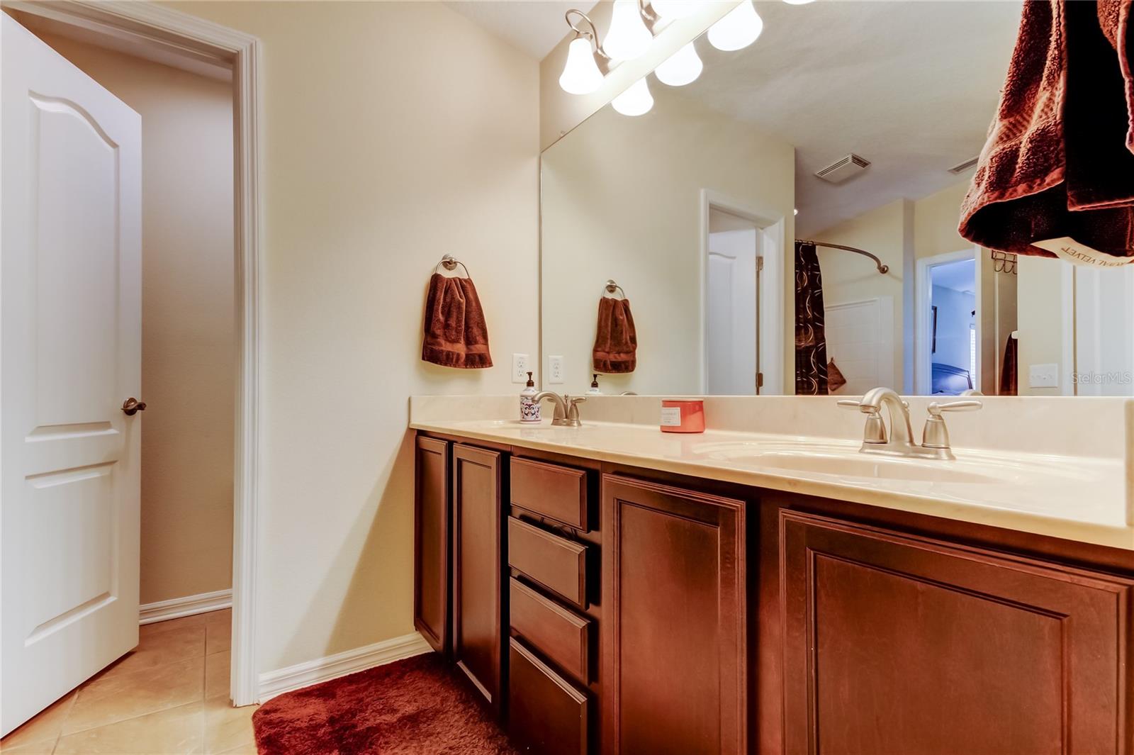 4250 WARWICK HILLS DR, WESLEY CHAPEL, FL, 33543