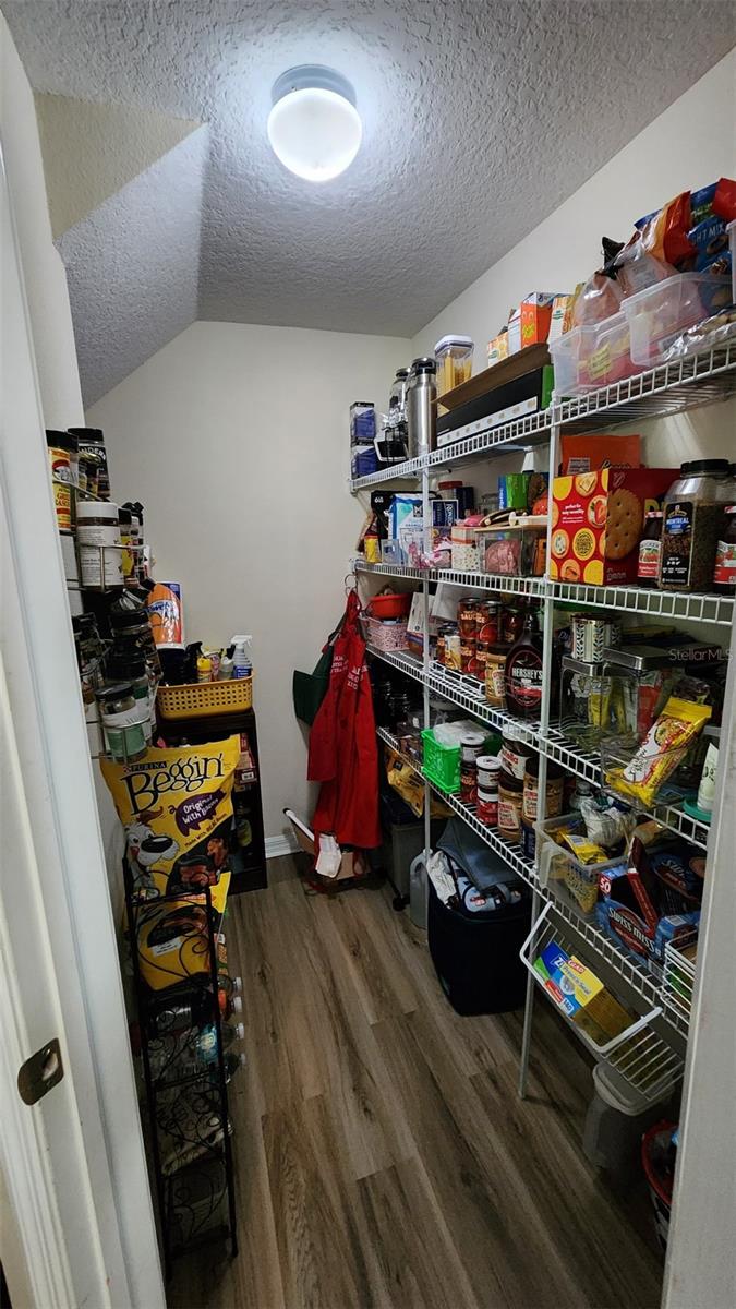 4250 WARWICK HILLS DR, WESLEY CHAPEL, FL, 33543