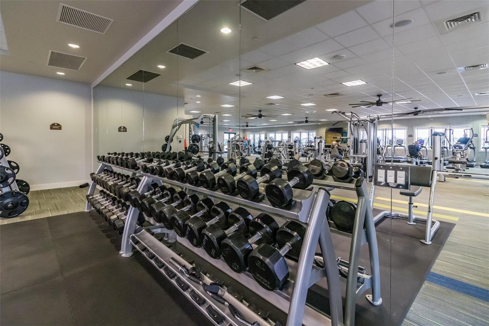 15818 COBBLE MILL DR, WIMAUMA, FL, 33598