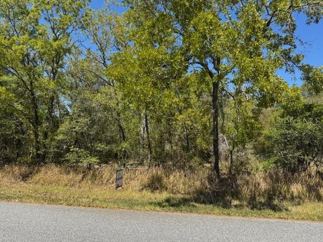 25 ELM LOOP, OCALA, FL, 34472