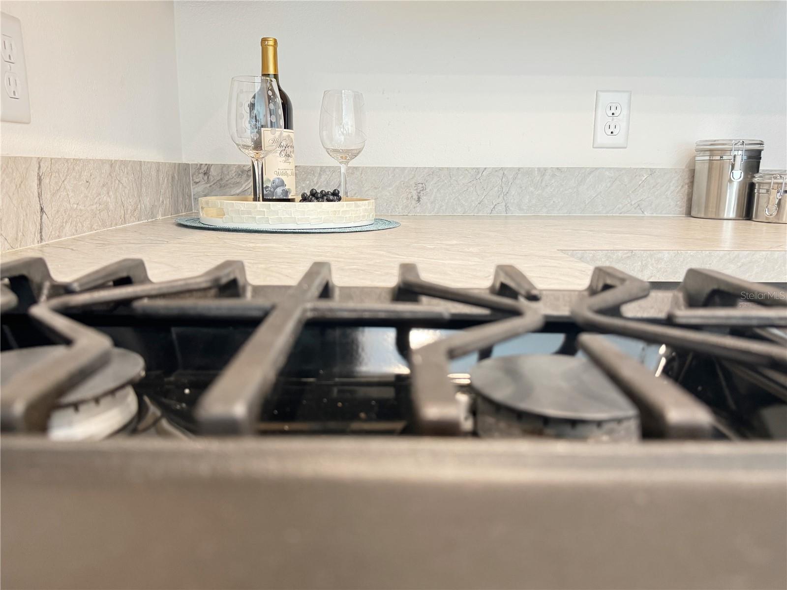 3437 POSSEHL PL, THE VILLAGES, FL, 32163