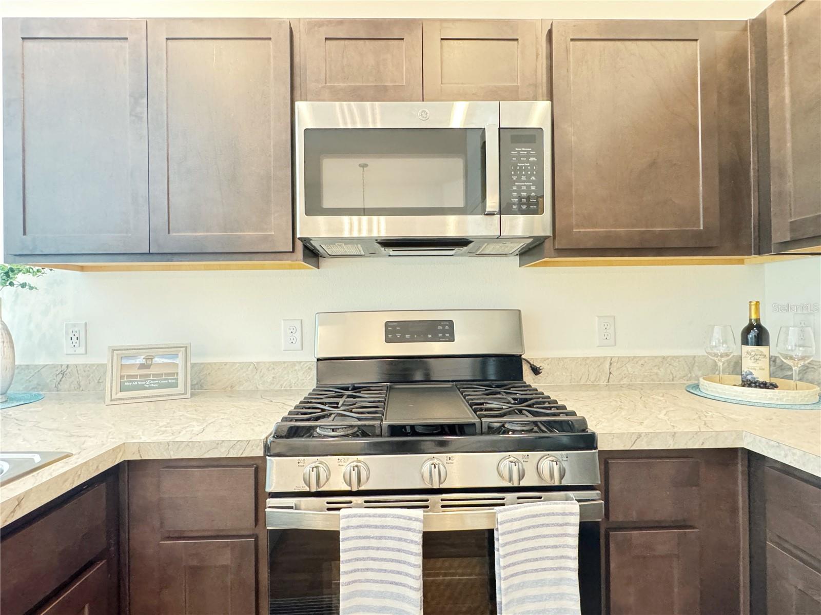 3437 POSSEHL PL, THE VILLAGES, FL, 32163