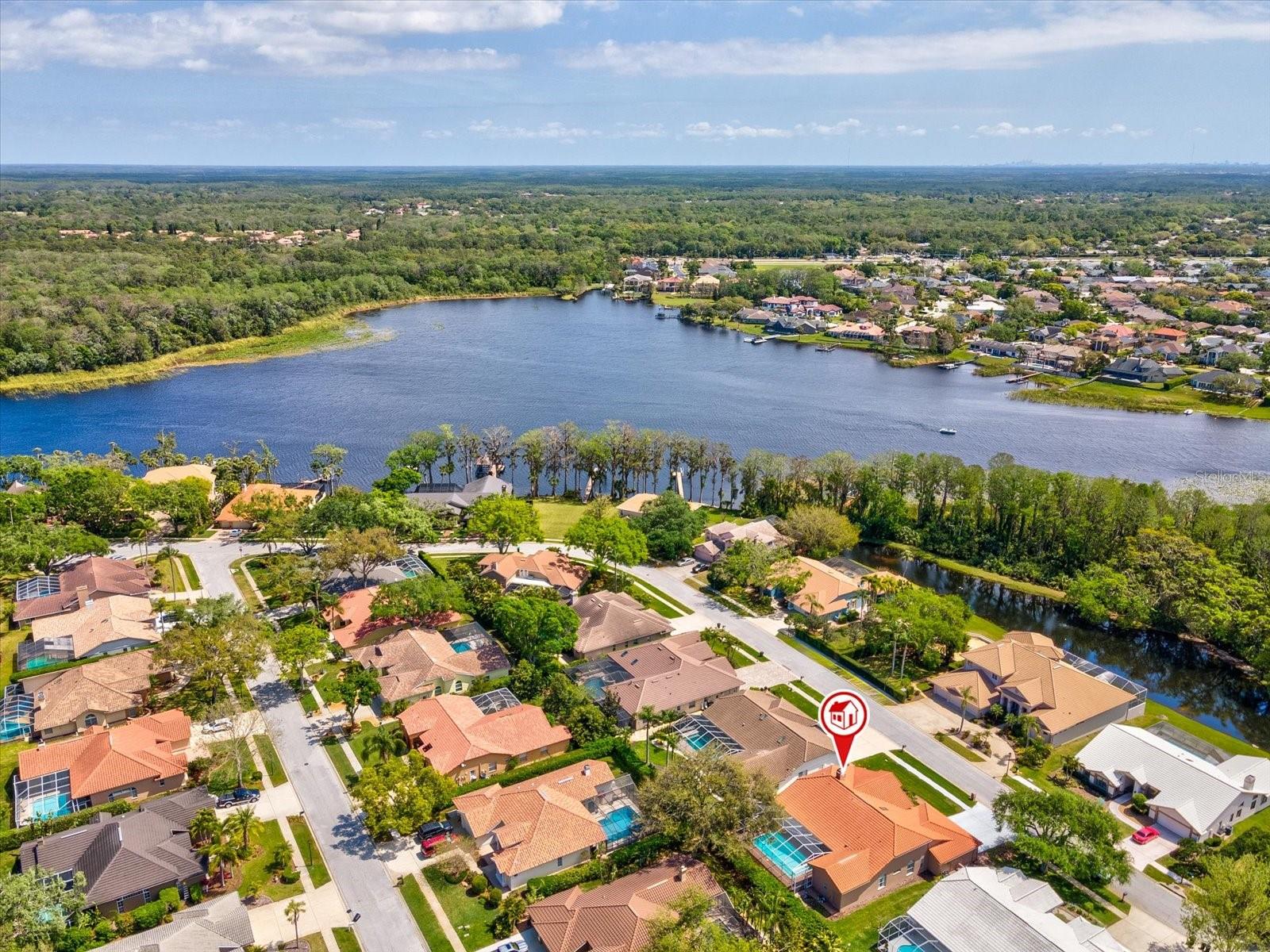 3909 TARIAN CT, PALM HARBOR, FL, 34684