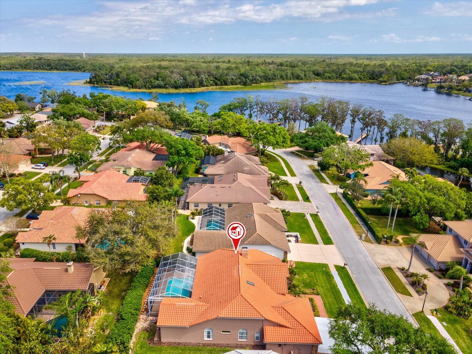 3909 TARIAN CT, PALM HARBOR, FL, 34684