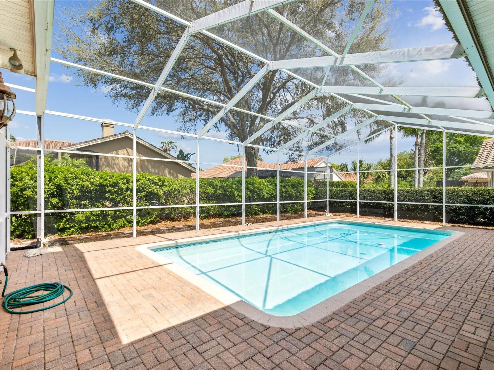 3909 TARIAN CT, PALM HARBOR, FL, 34684