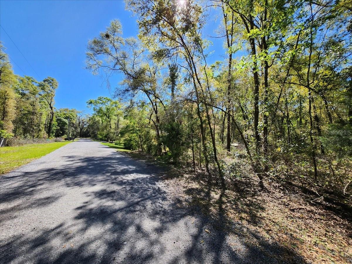 00 PINE DR, BRONSON, FL, 32621