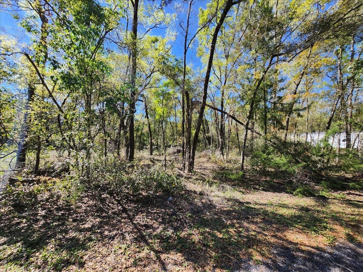00 PINE DR, BRONSON, FL, 32621