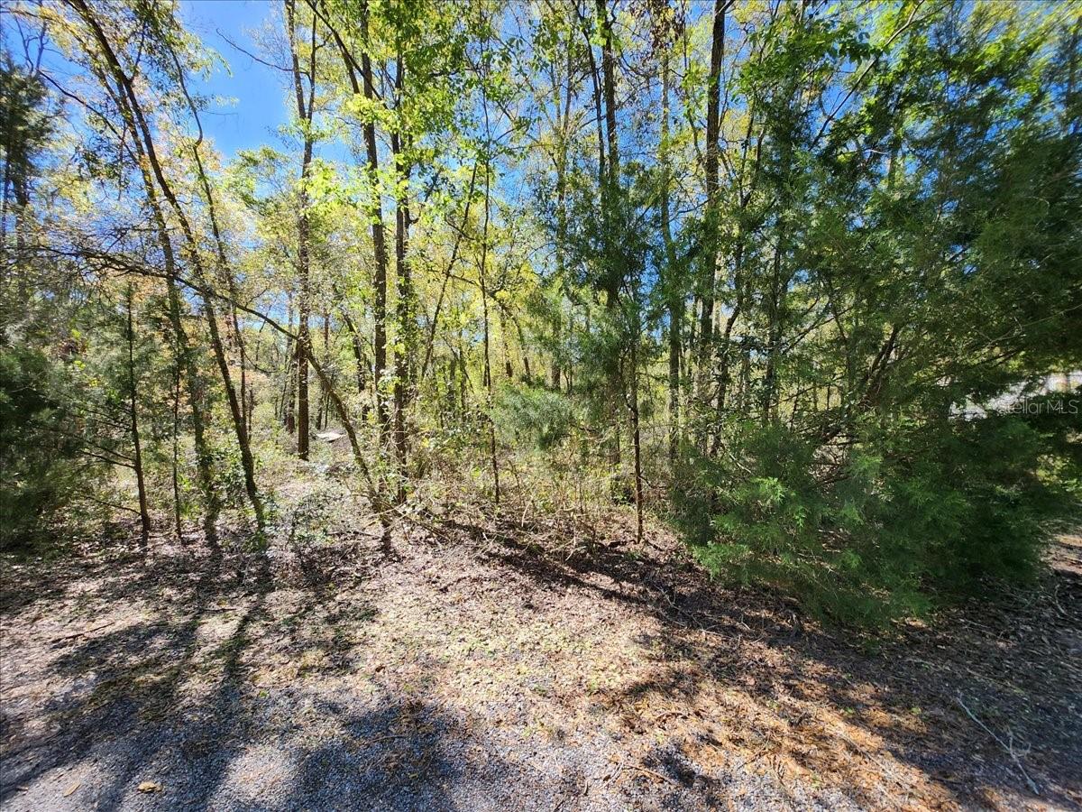 00 PINE DR, BRONSON, FL, 32621
