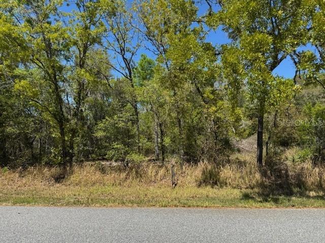 ELM LOOP, OCALA, FL, 34472
