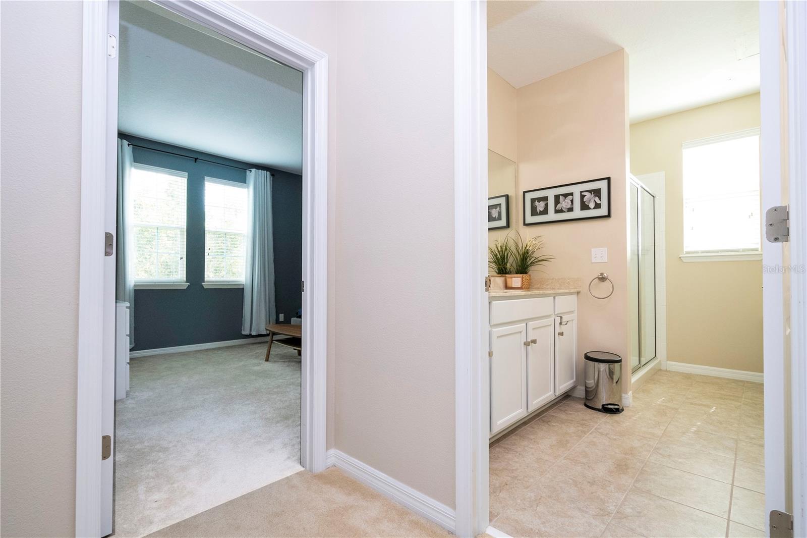 6008 GOLDEN DEWDROP TRL, WINDERMERE, FL, 34786
