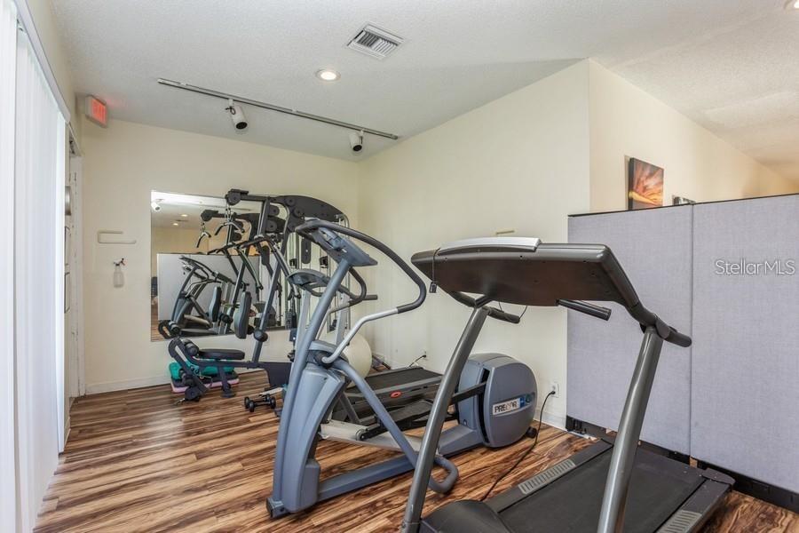 4319 HARBOR HOUSE DR, TAMPA, FL, 33615