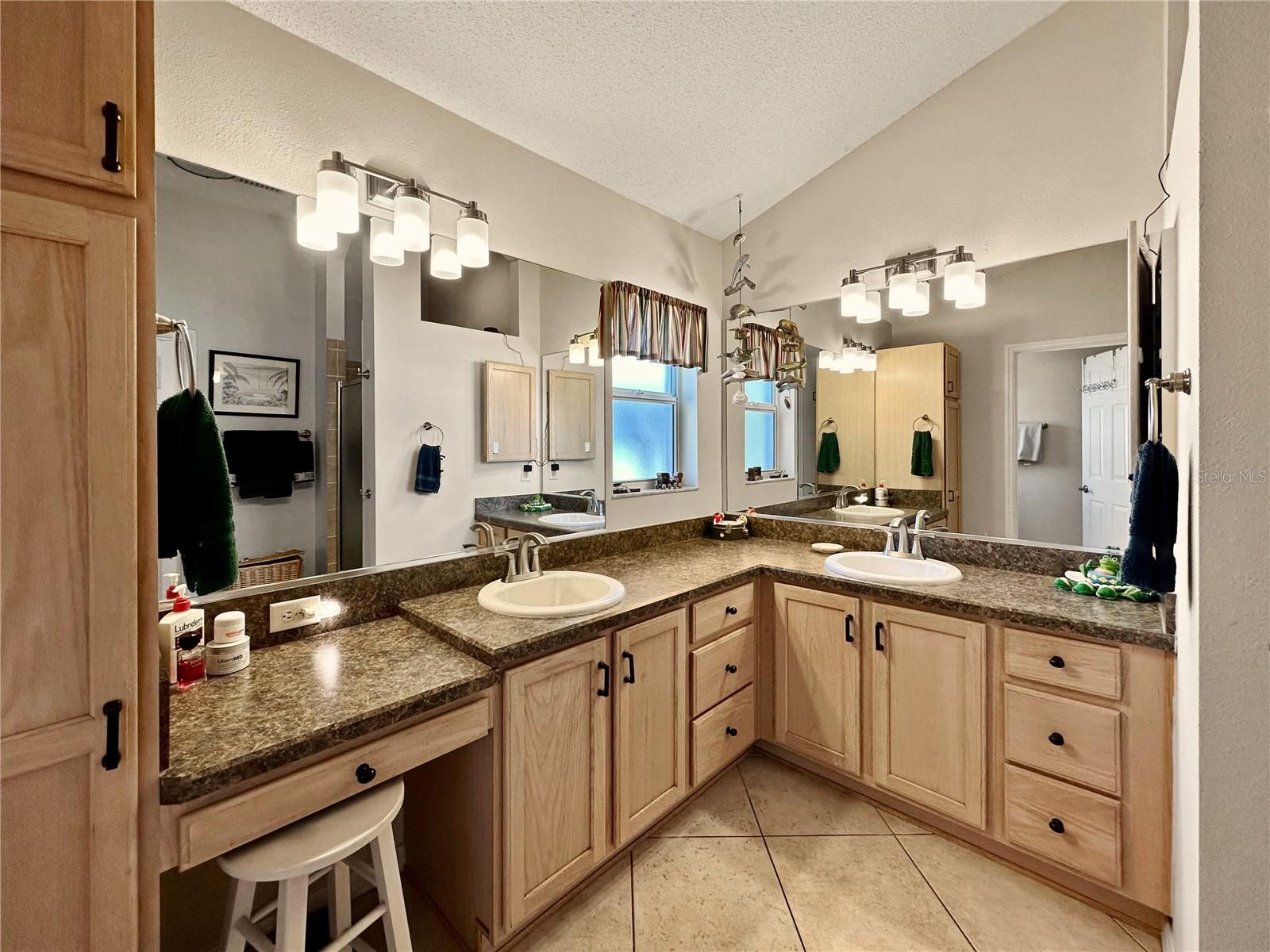 867 CASTLEBERRY CIR, THE VILLAGES, FL, 32162