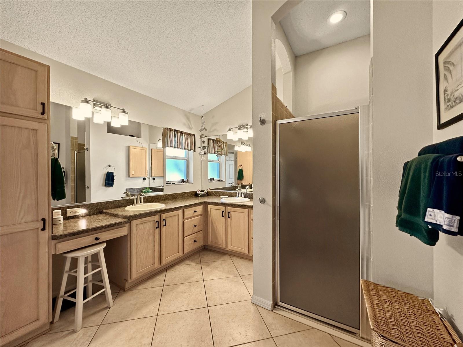 867 CASTLEBERRY CIR, THE VILLAGES, FL, 32162