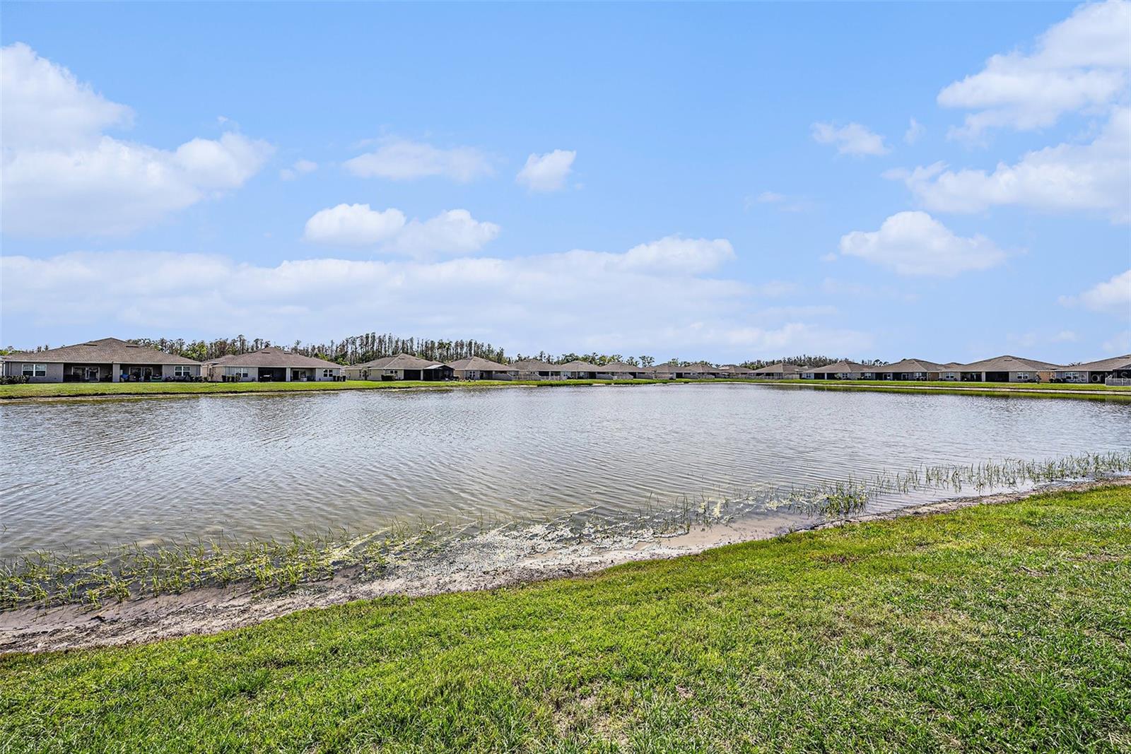18184 TURNING LEAF CIR, LAND O LAKES, FL, 34638