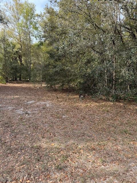8414 W GAYLE LN, CRYSTAL RIVER, FL, 34428