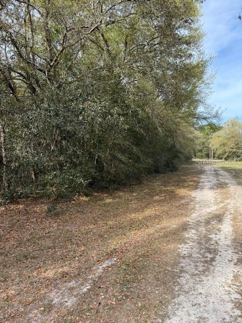 8414 W GAYLE LN, CRYSTAL RIVER, FL, 34428