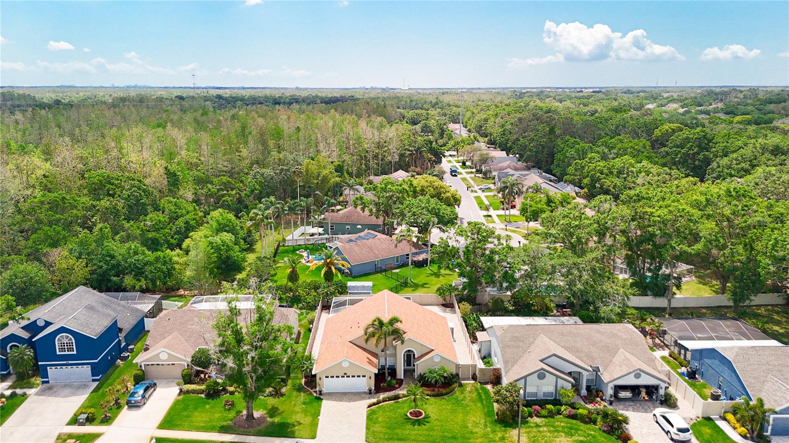 6716 FRONTIER LN, TAMPA, FL, 33625