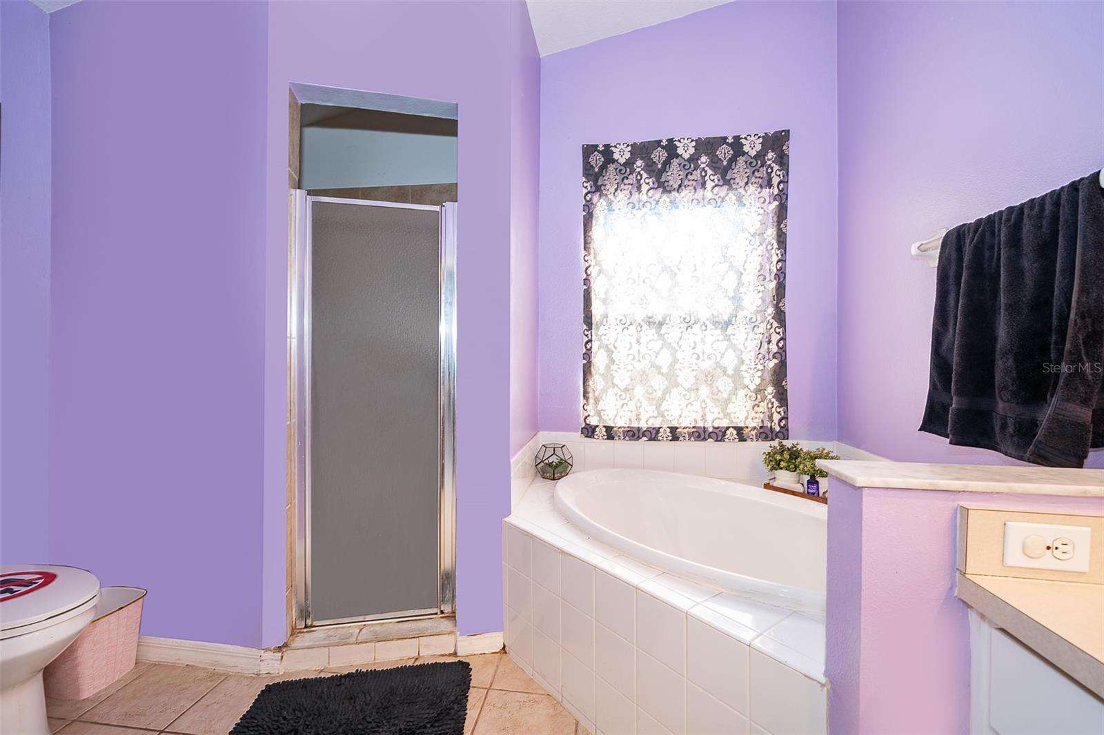 3063 JON JON CT, ORLANDO, FL, 32822