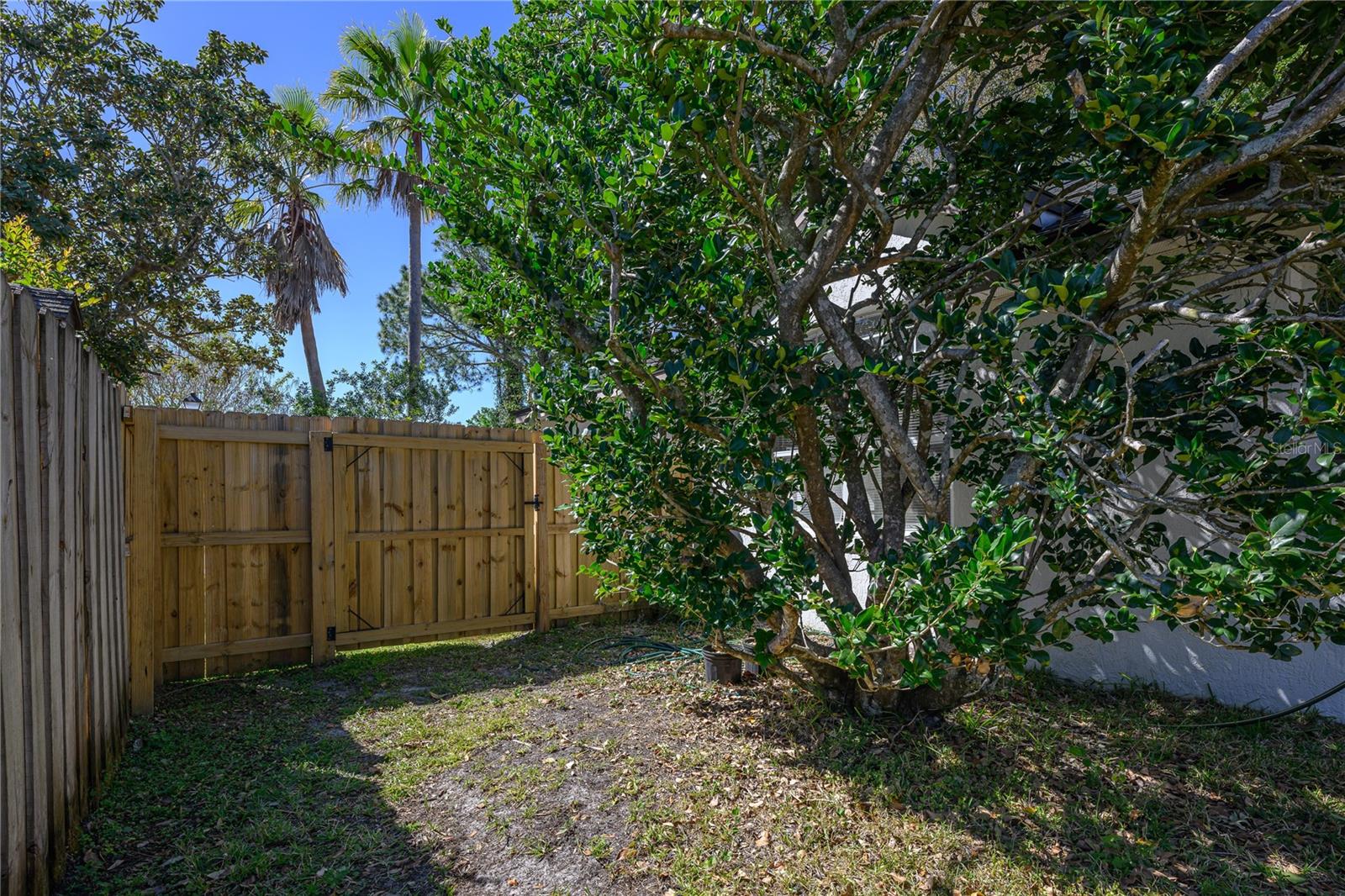 1104 PARKER CANAL CT, OVIEDO, FL, 32765