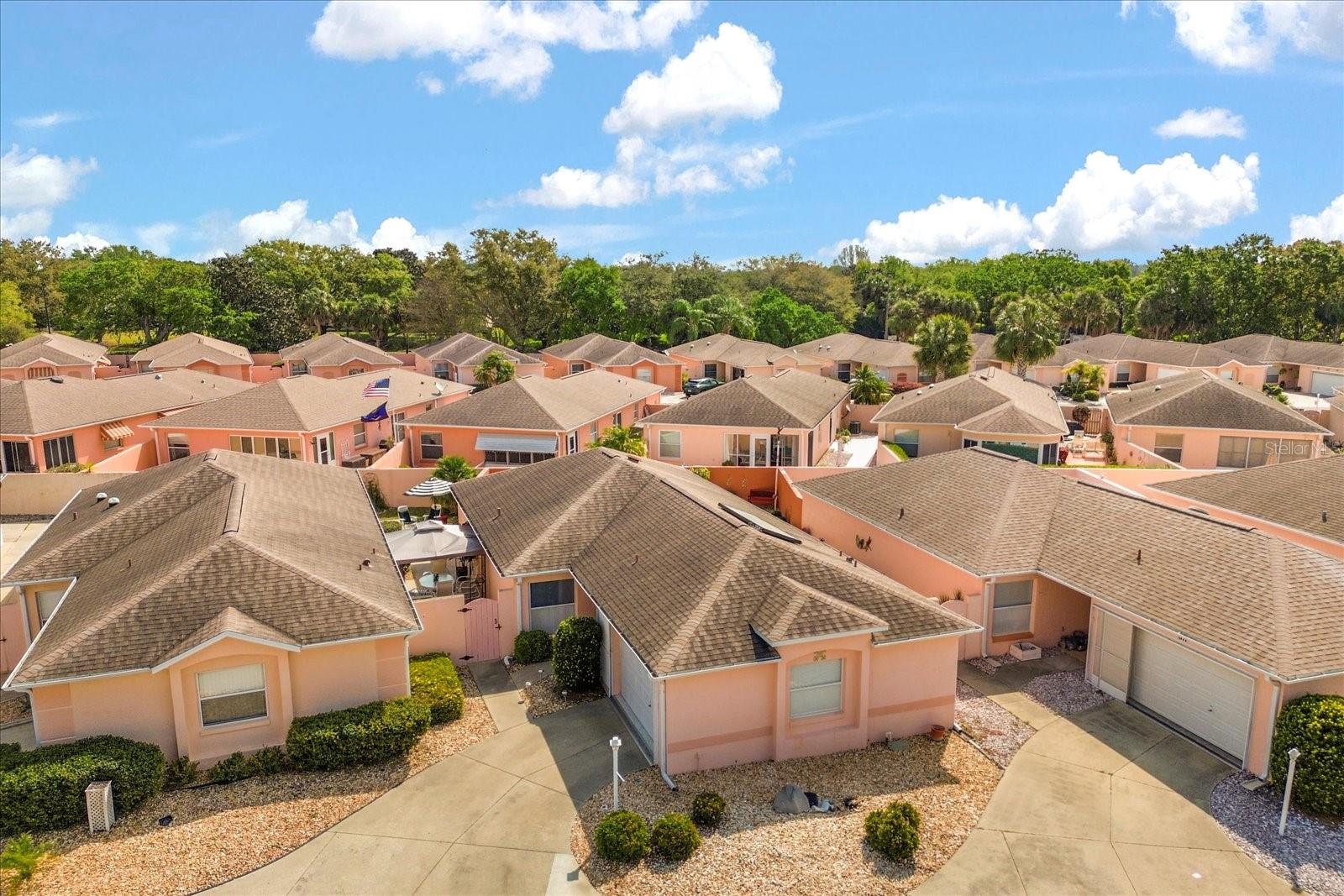 613 NUEVO LEON LN, THE VILLAGES, FL, 32159