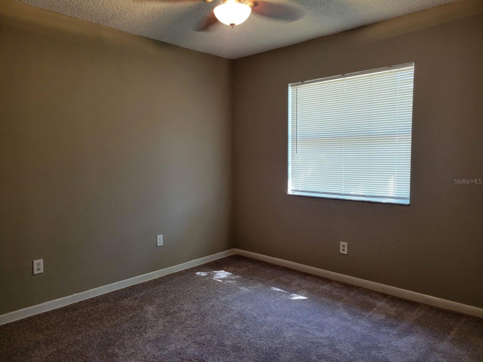 1415 FOXWOOD DR, LUTZ, FL, 33549