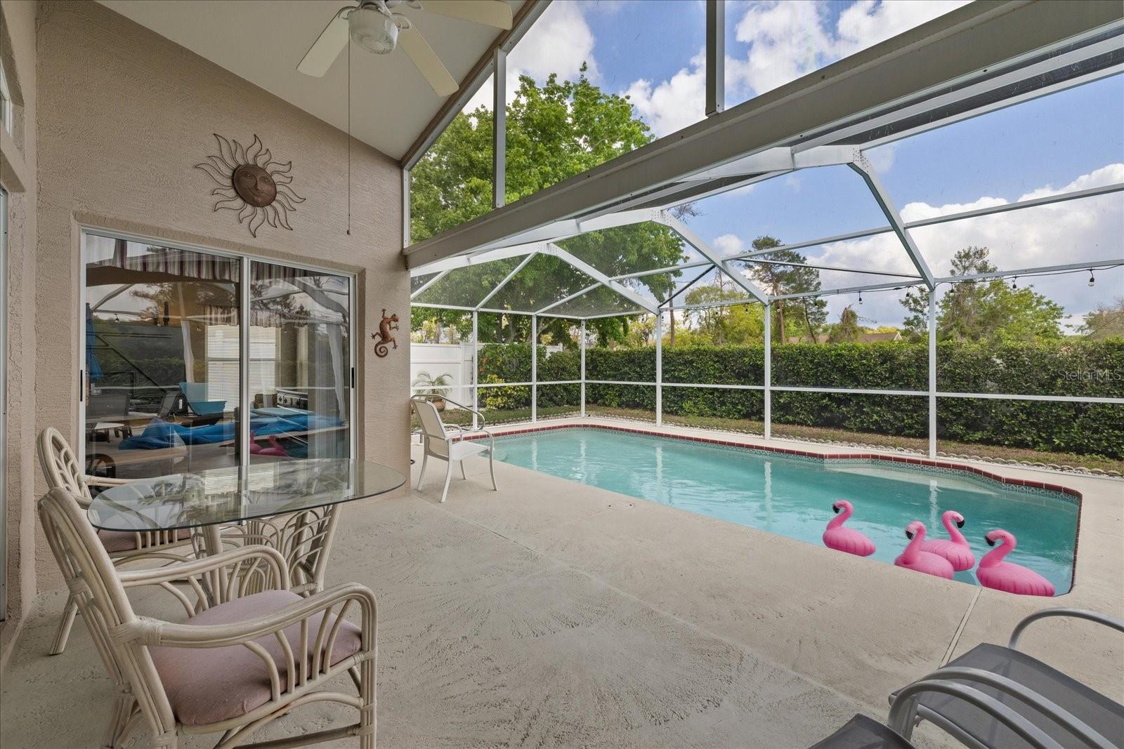 10542 MAGRATH LN, NEW PORT RICHEY, FL, 34654