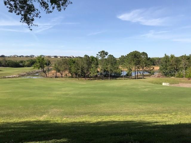 2294 CALEDONIAN ST, CLERMONT, FL, 34711