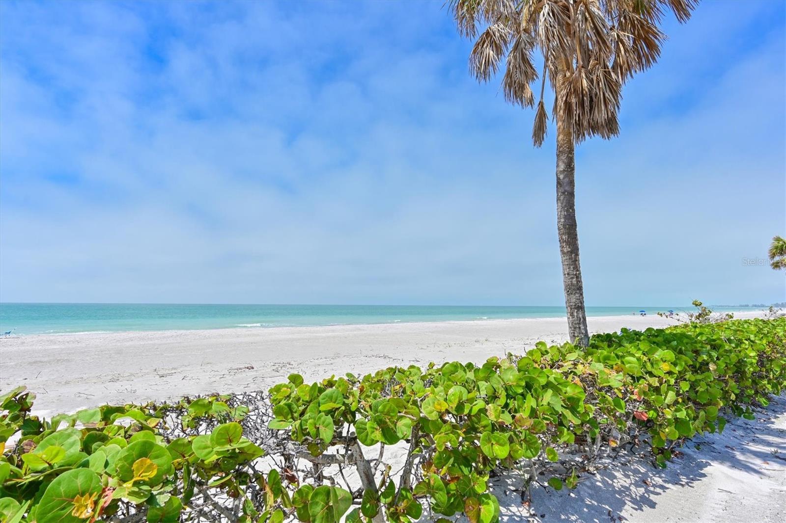 3802 GULF OF MEXICO DR #A103, LONGBOAT KEY, FL, 34228