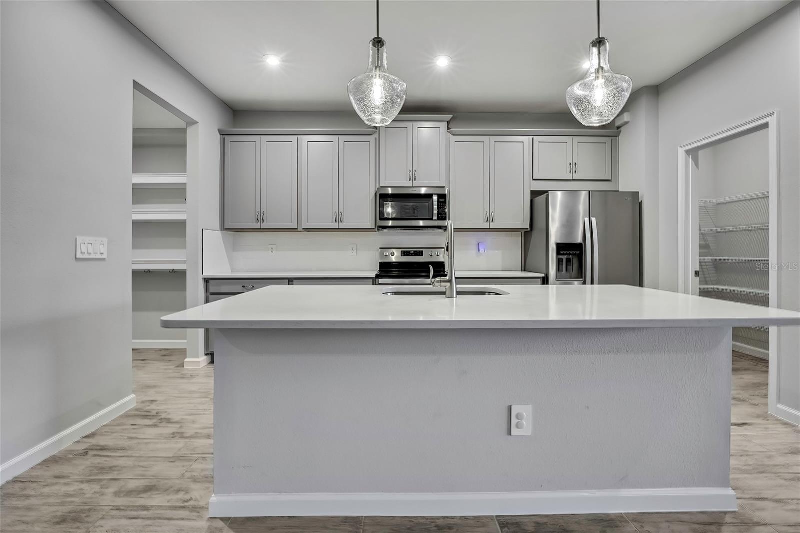 4066 CLOUD HOPPER WAY, LUTZ, FL, 33559
