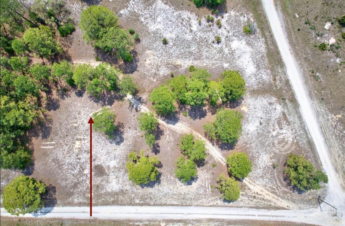 311 SWEETHEART AVE, LAKE PLACID, FL, 33852