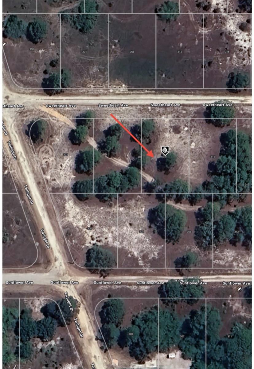 311 SWEETHEART AVE, LAKE PLACID, FL, 33852