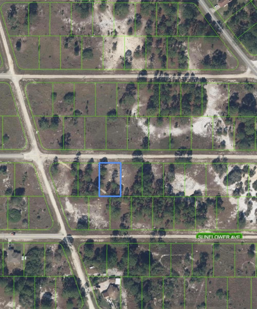 311 SWEETHEART AVE, LAKE PLACID, FL, 33852