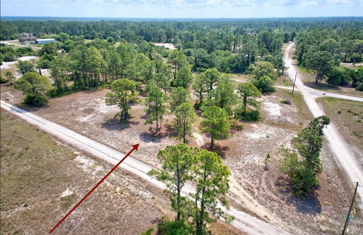 311 SWEETHEART AVE, LAKE PLACID, FL, 33852