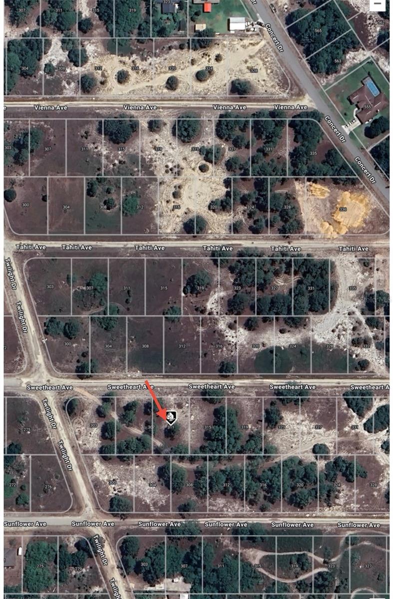 311 SWEETHEART AVE, LAKE PLACID, FL, 33852