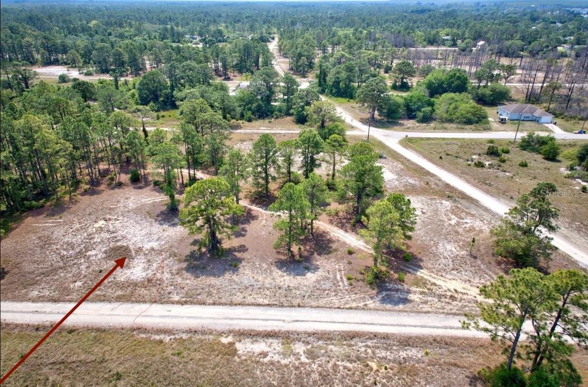 311 SWEETHEART AVE, LAKE PLACID, FL, 33852