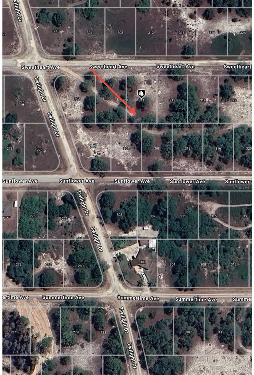 311 SWEETHEART AVE, LAKE PLACID, FL, 33852