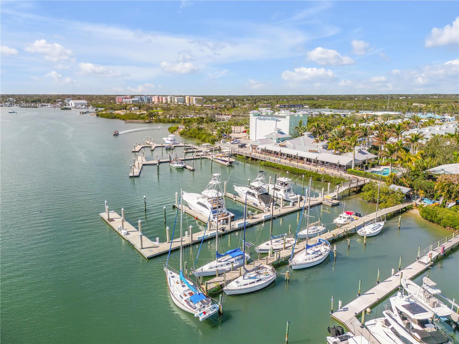 13 OLD FEGER DR, NEW SMYRNA BEACH, FL, 32169