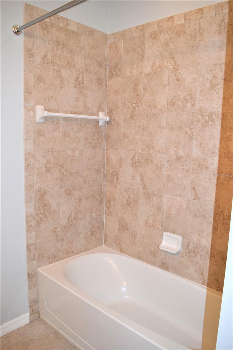 17510 BRIGHT WHEAT DRIVE, LITHIA, FL, 33547