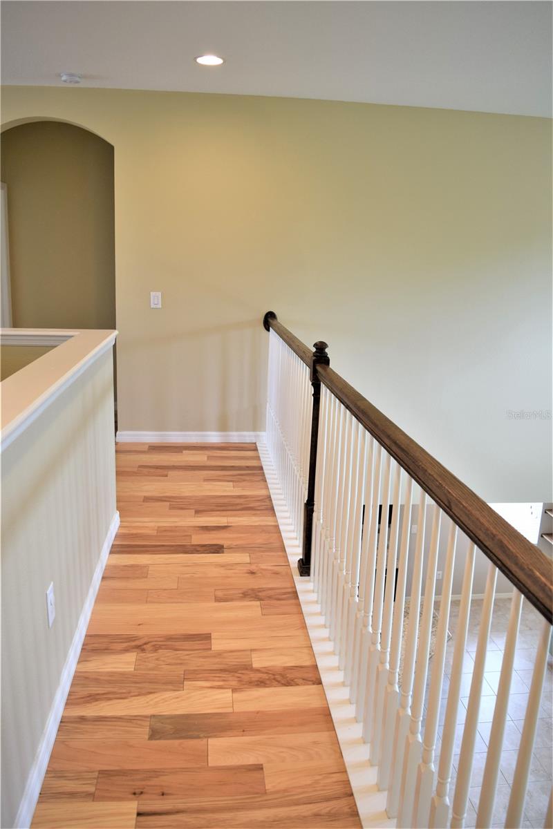 17510 BRIGHT WHEAT DRIVE, LITHIA, FL, 33547