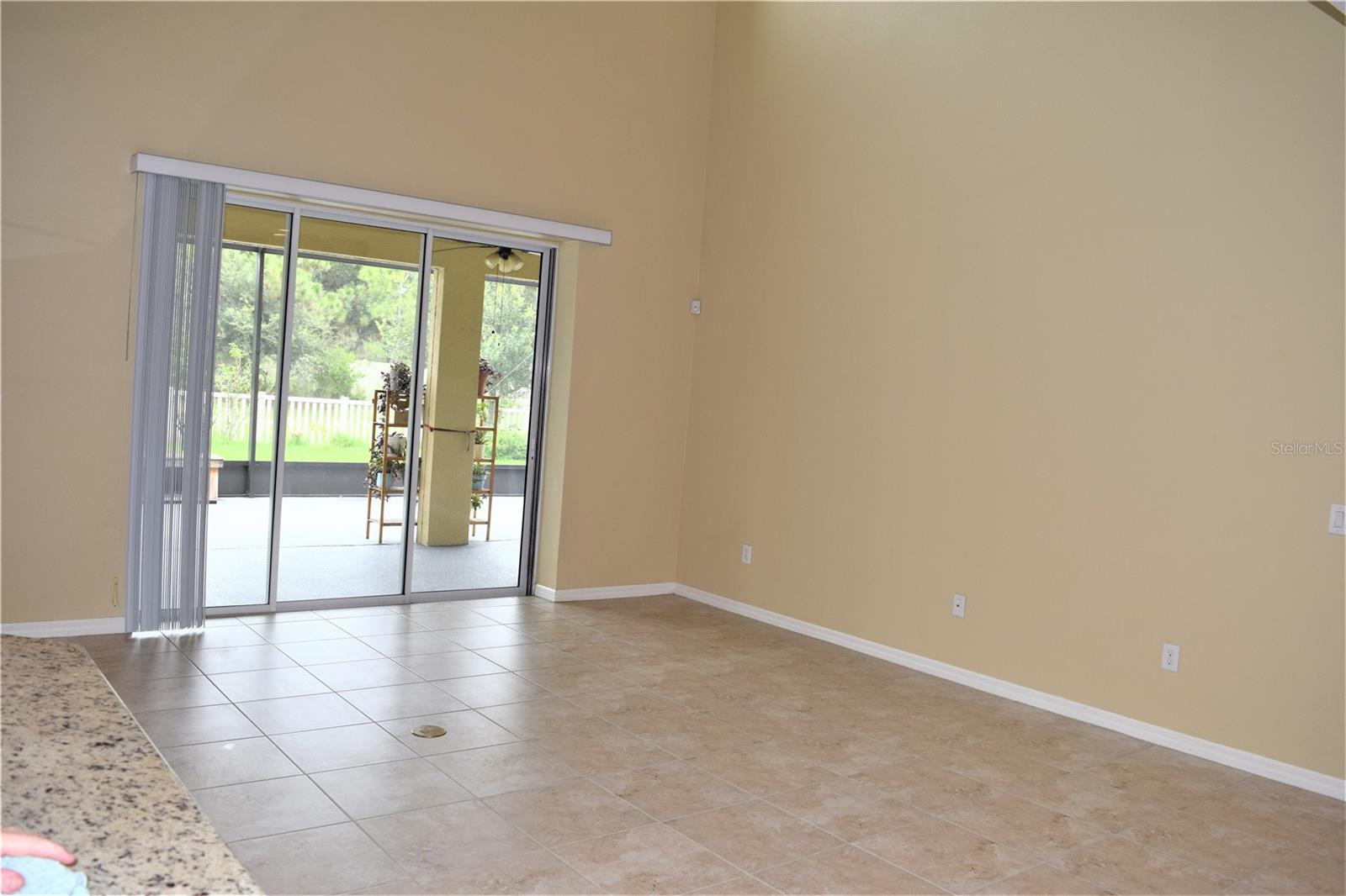 17510 BRIGHT WHEAT DRIVE, LITHIA, FL, 33547