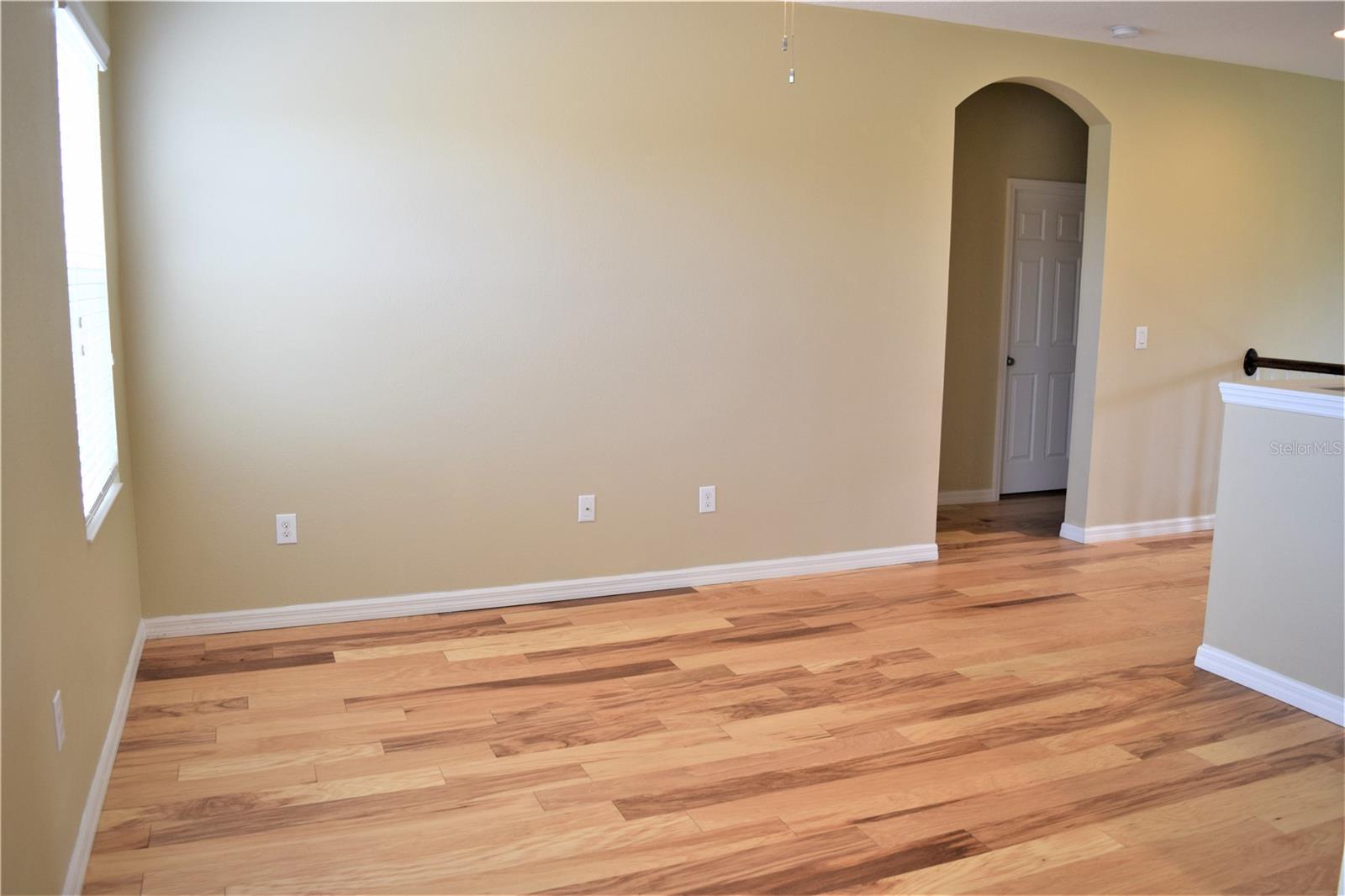 17510 BRIGHT WHEAT DRIVE, LITHIA, FL, 33547