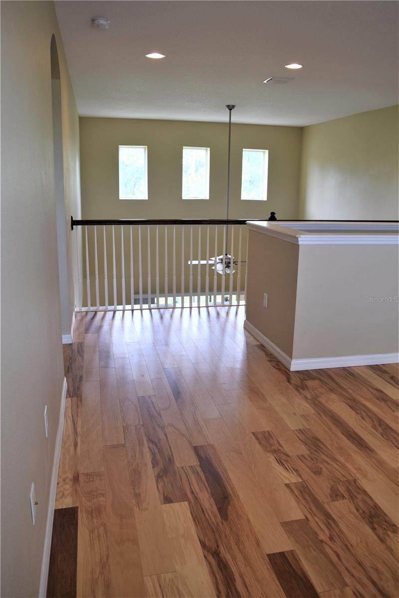 17510 BRIGHT WHEAT DRIVE, LITHIA, FL, 33547