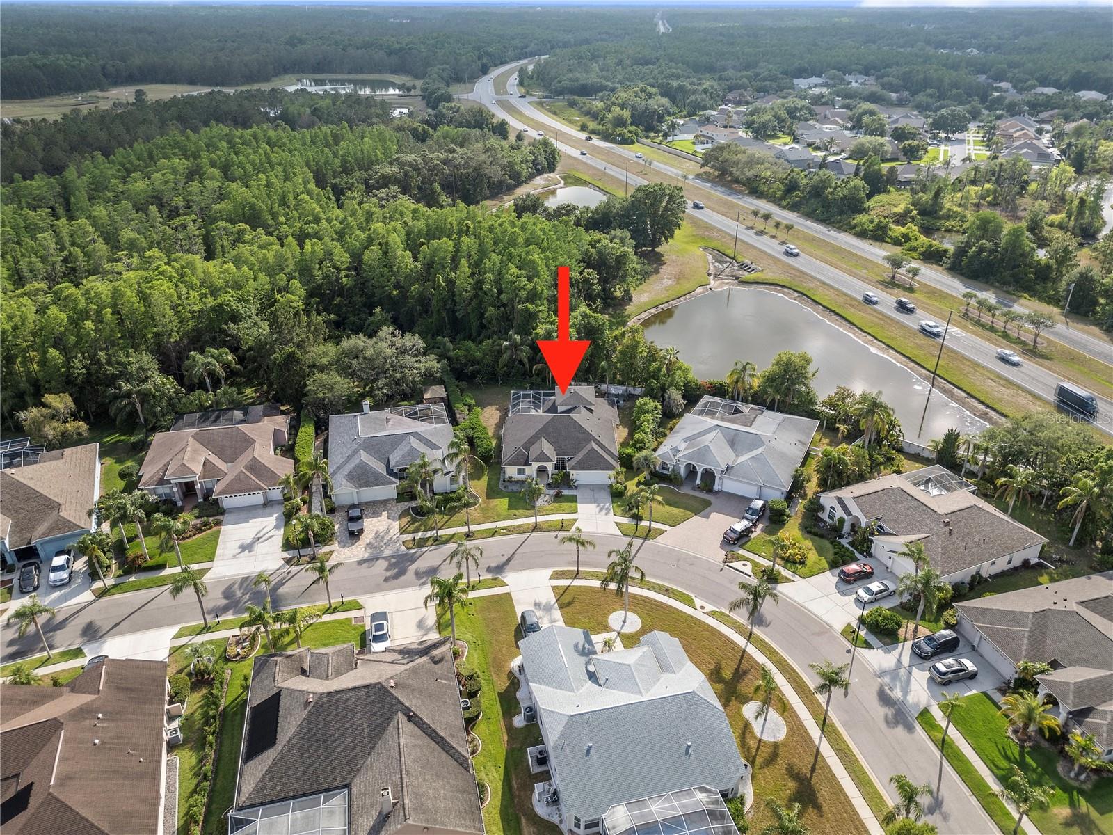 8833 BEL MEADOW WAY, TRINITY, FL, 34655
