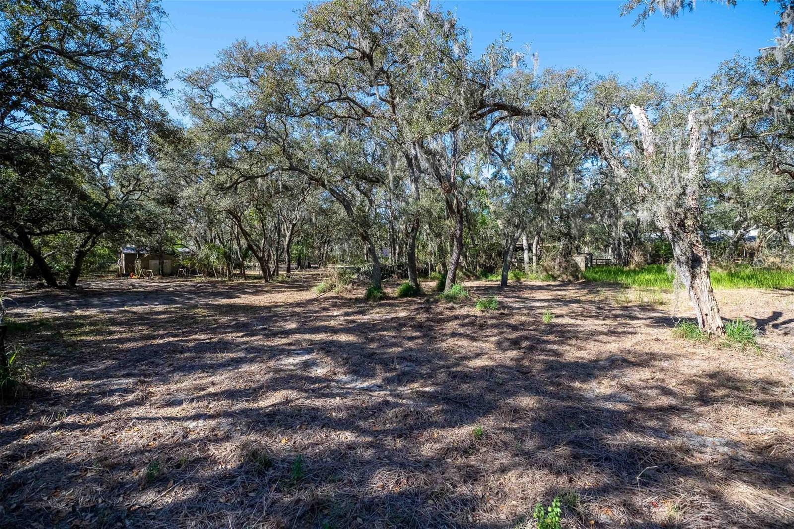 4010 PAW PAW TRL, LAKE WALES, FL, 33898