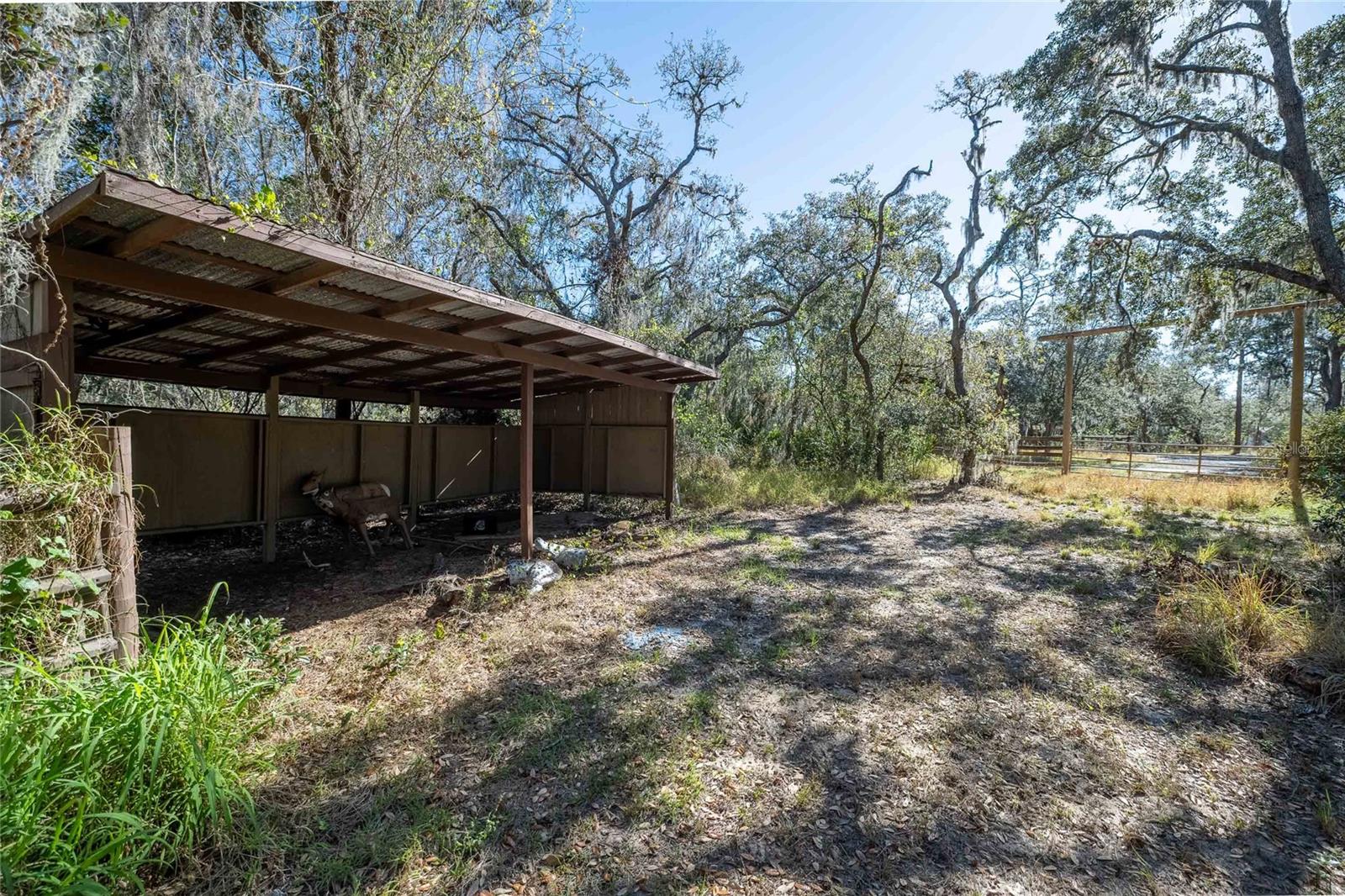 4010 PAW PAW TRL, LAKE WALES, FL, 33898