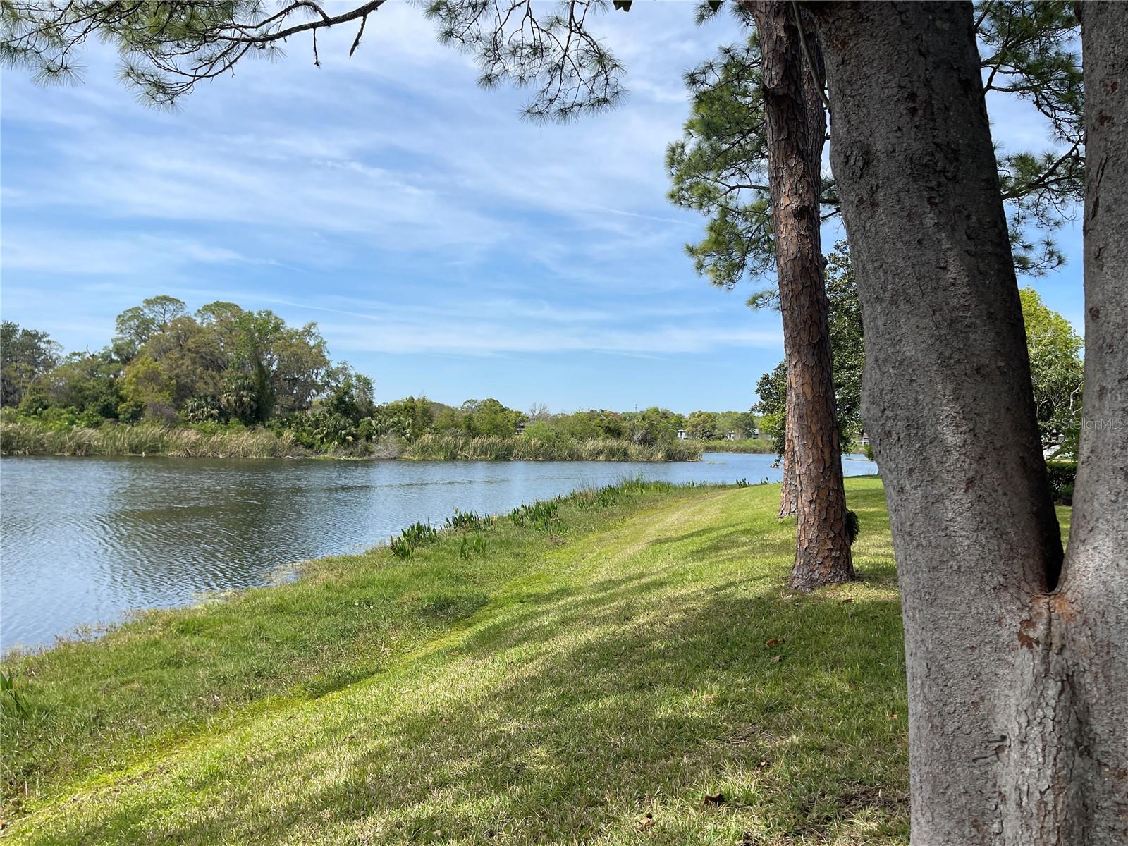 647 MIDWAY DR #B, OCALA, FL, 34472