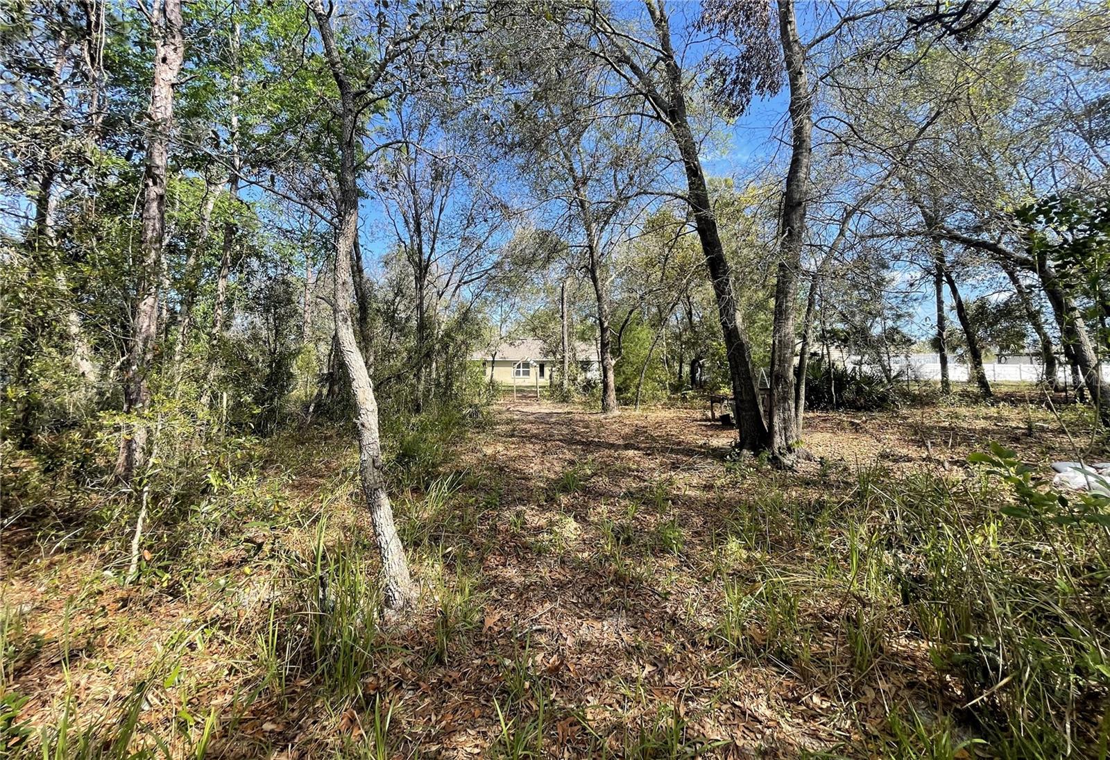 12342 QUIGLEY AVE, WEEKI WACHEE, FL, 34614
