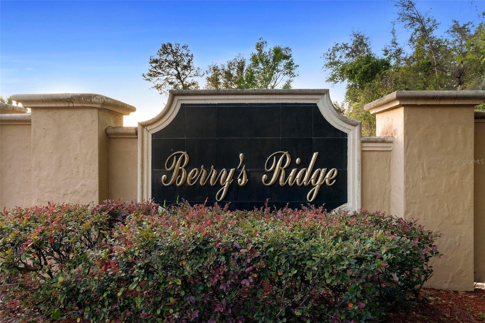 3825 ARBORVITAE WAY, DELAND, FL, 32724